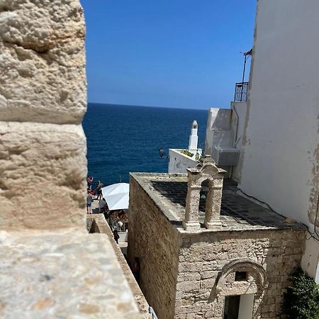 Апартаменти Dimora La Terrazza Поліньяно-а-Маре Екстер'єр фото